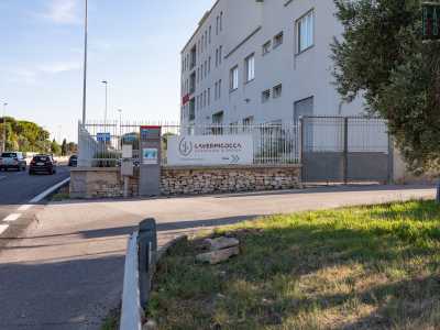 I vivaisti baresi
